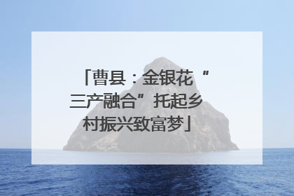 曹县：金银花“三产融合”托起乡村振兴致富梦