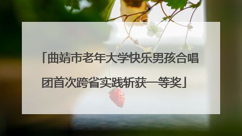 曲靖市老年大学快乐男孩合唱团首次跨省实践斩获一等奖