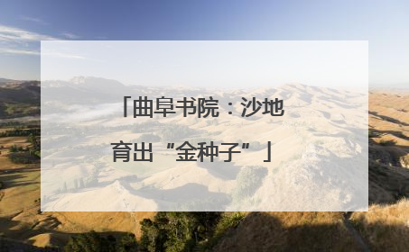 曲阜书院：沙地育出“金种子”