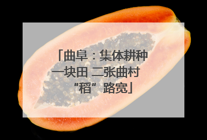 曲阜：集体耕种一块田 二张曲村“稻”路宽