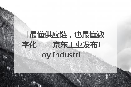 最懂供应链，也最懂数字化——京东工业发布Joy Industrial 重塑工业未来