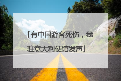 有中国游客死伤，我驻意大利使馆发声