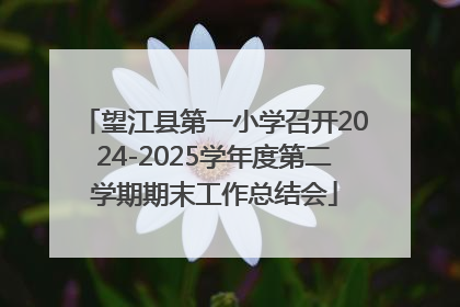 望江县第一小学召开2024-2025学年度第二学期期末工作总结会