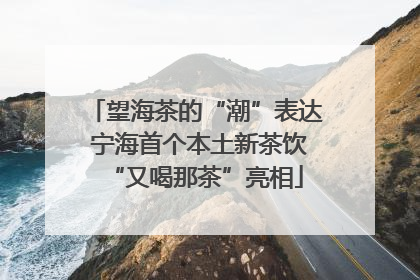 望海茶的“潮”表达 宁海首个本土新茶饮“又喝那茶”亮相