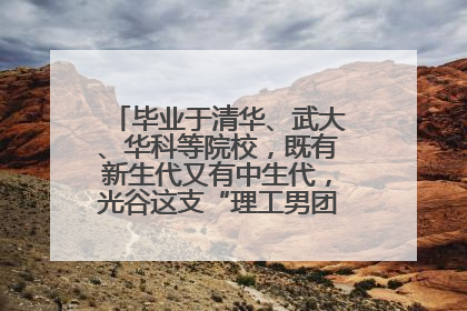毕业于清华、武大、华科等院校，既有新生代又有中生代，光谷这支“理工男团”为何“出道”？