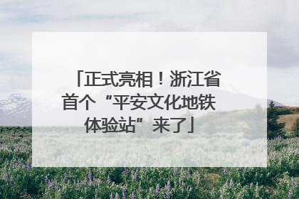 正式亮相！浙江省首个“平安文化地铁体验站”来了
