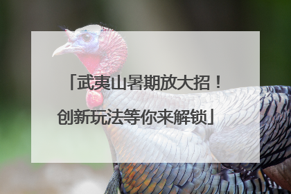 武夷山暑期放大招！创新玩法等你来解锁