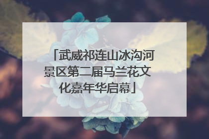 武威祁连山冰沟河景区第二届马兰花文化嘉年华启幕