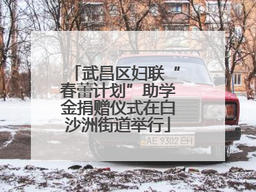 武昌区妇联“春蕾计划”助学金捐赠仪式在白沙洲街道举行