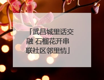武昌城里话交融 石榴花开串联社区邻里情