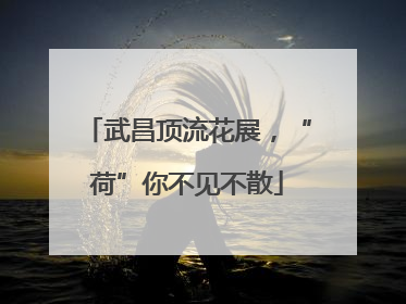 武昌顶流花展，“荷”你不见不散
