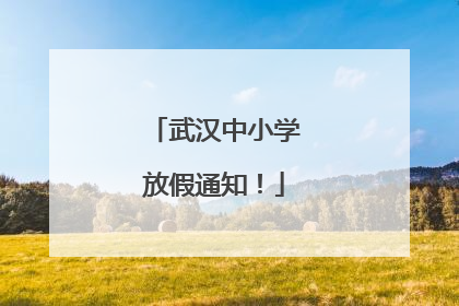 武汉中小学放假通知！
