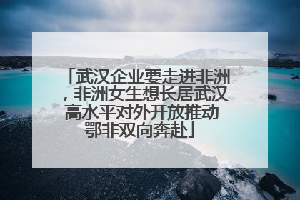 武汉企业要走进非洲，非洲女生想长居武汉 高水平对外开放推动鄂非双向奔赴