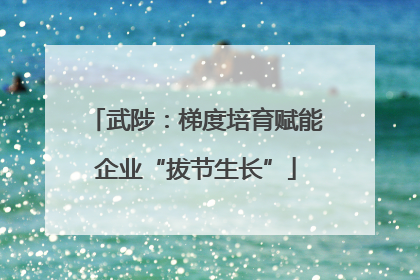 武陟：梯度培育赋能企业“拔节生长”