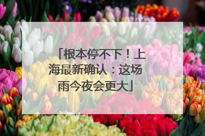 根本停不下！上海最新确认：这场雨今夜会更大