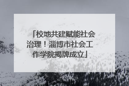 校地共建赋能社会治理！淄博市社会工作学院揭牌成立