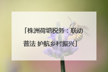 株洲荷塘税务：联动普法 护航乡村振兴