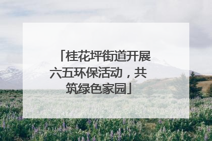 桂花坪街道开展六五环保活动，共筑绿色家园