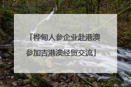 桦甸人参企业赴港澳参加吉港澳经贸交流