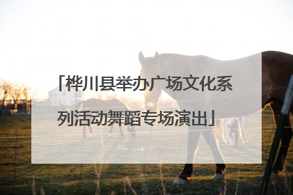 桦川县举办广场文化系列活动舞蹈专场演出