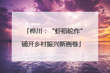 桦川：“虾稻轮作”铺开乡村振兴新画卷