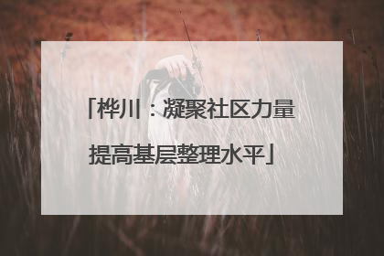 桦川：凝聚社区力量 提高基层整理水平