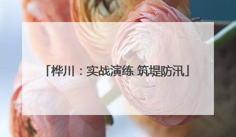 桦川：实战演练 筑堤防汛