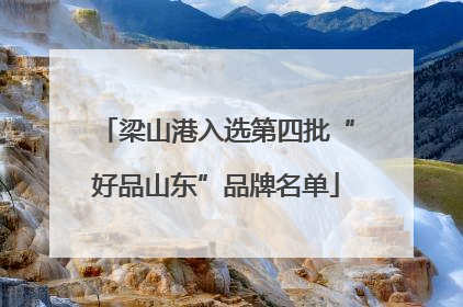 梁山港入选第四批“好品山东”品牌名单