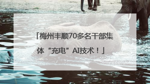 梅州丰顺70多名干部集体“充电”AI技术！