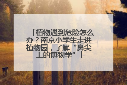植物遇到危险怎么办？南京小学生走进植物园，了解“鼻尖上的博物学”