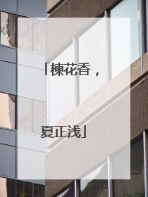楝花香，夏正浅