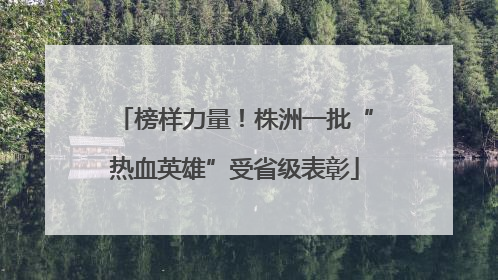 榜样力量！株洲一批“热血英雄”受省级表彰