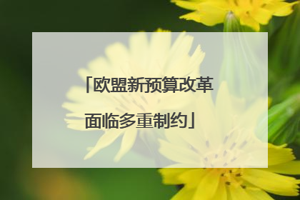 欧盟新预算改革面临多重制约