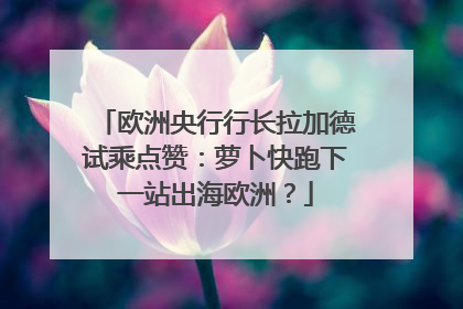 欧洲央行行长拉加德试乘点赞：萝卜快跑下一站出海欧洲？