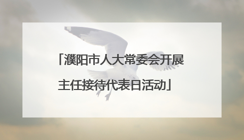 濮阳市人大常委会开展主任接待代表日活动