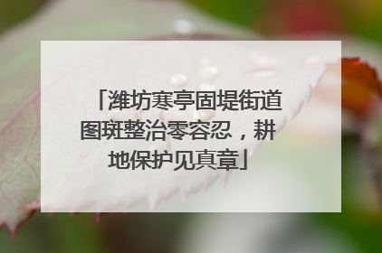 潍坊寒亭固堤街道图斑整治零容忍，耕地保护见真章
