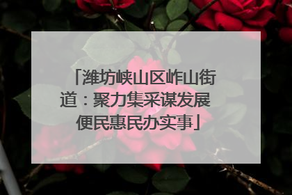 潍坊峡山区岞山街道：聚力集采谋发展 便民惠民办实事