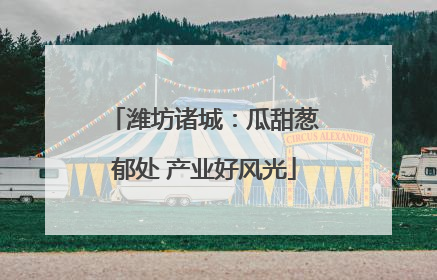 潍坊诸城：瓜甜葱郁处 产业好风光