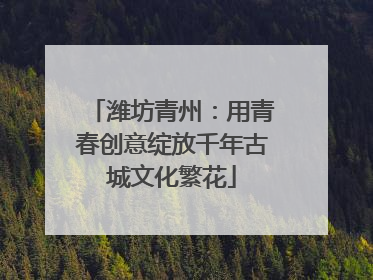 潍坊青州：用青春创意绽放千年古城文化繁花