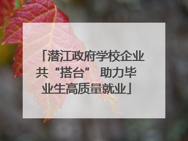 潜江政府学校企业共“搭台” 助力毕业生高质量就业