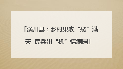 潢川县：乡村果农“愁”满天  民兵出“机”情满园