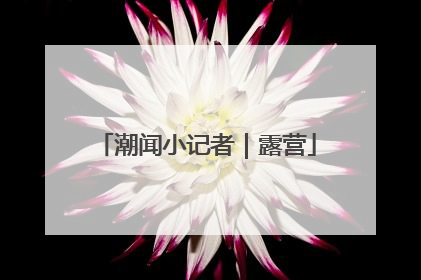 潮闻小记者｜露营