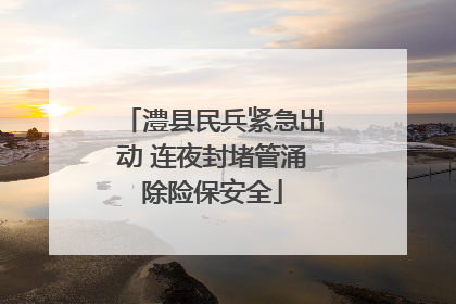 澧县民兵紧急出动 连夜封堵管涌除险保安全