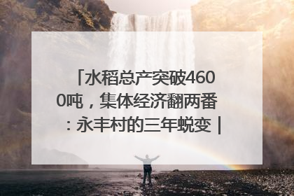 水稻总产突破4600吨，集体经济翻两番：永丰村的三年蜕变｜您牵挂的四川