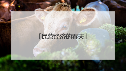民营经济的春天