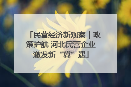 民营经济新观察｜政策护航 河北民营企业激发新“冀”遇
