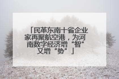 民革东南十省企业家再聚航空港，为河南数字经济增“智”又增“势”