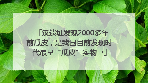 汉遗址发现2000多年前瓜皮，是我国目前发现时代最早“瓜皮”实物→