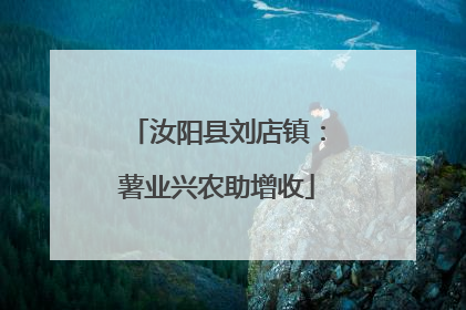 汝阳县刘店镇：薯业兴农助增收
