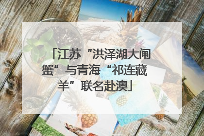 江苏“洪泽湖大闸蟹”与青海“祁连藏羊”联名赴澳
